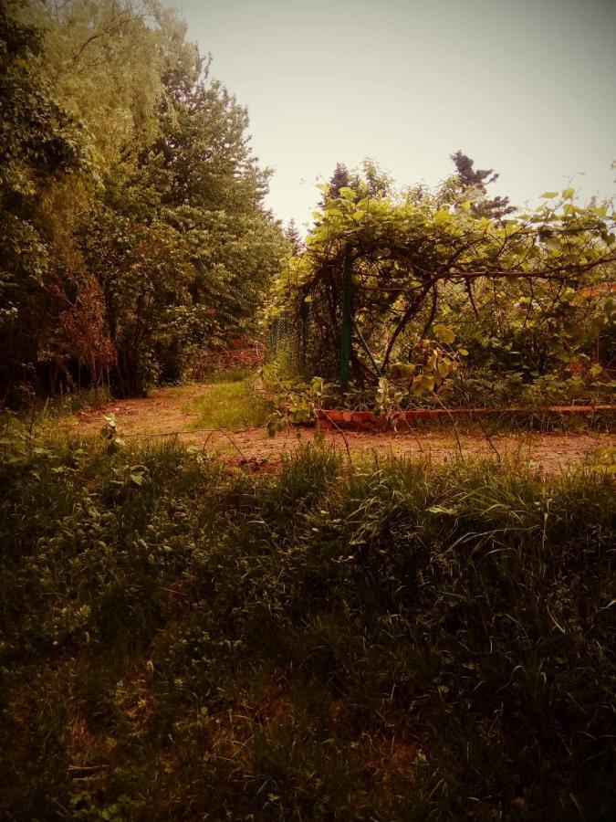 Agroturystyka U Babci Чхув Экстерьер фото
