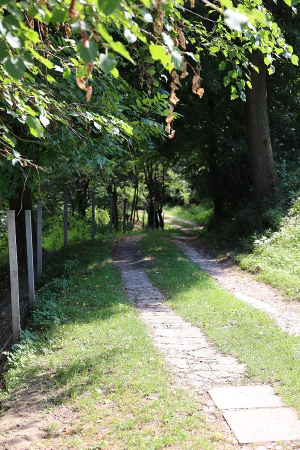 Agroturystyka U Babci Чхув Экстерьер фото
